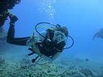 Hawaii Scuba divng 31