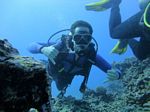 Hawaii Scuba divng 33