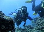 Hawaii Scuba divng 33