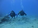 Hawaii Scuba divng 35