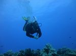 Hawaii Scuba divng 40