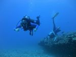 Hawaii Scuba divng 41