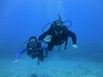 Hawaii Scuba divng 42