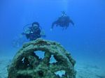 Hawaii Scuba divng 43