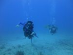 Hawaii Scuba divng 45