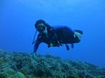 Hawaii Scuba divng 47