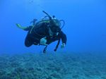 Hawaii Scuba divng 48