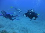 Hawaii Scuba divng 51