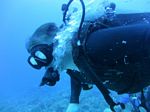 Hawaii Scuba divng 52