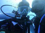 Hawaii Scuba divng 58