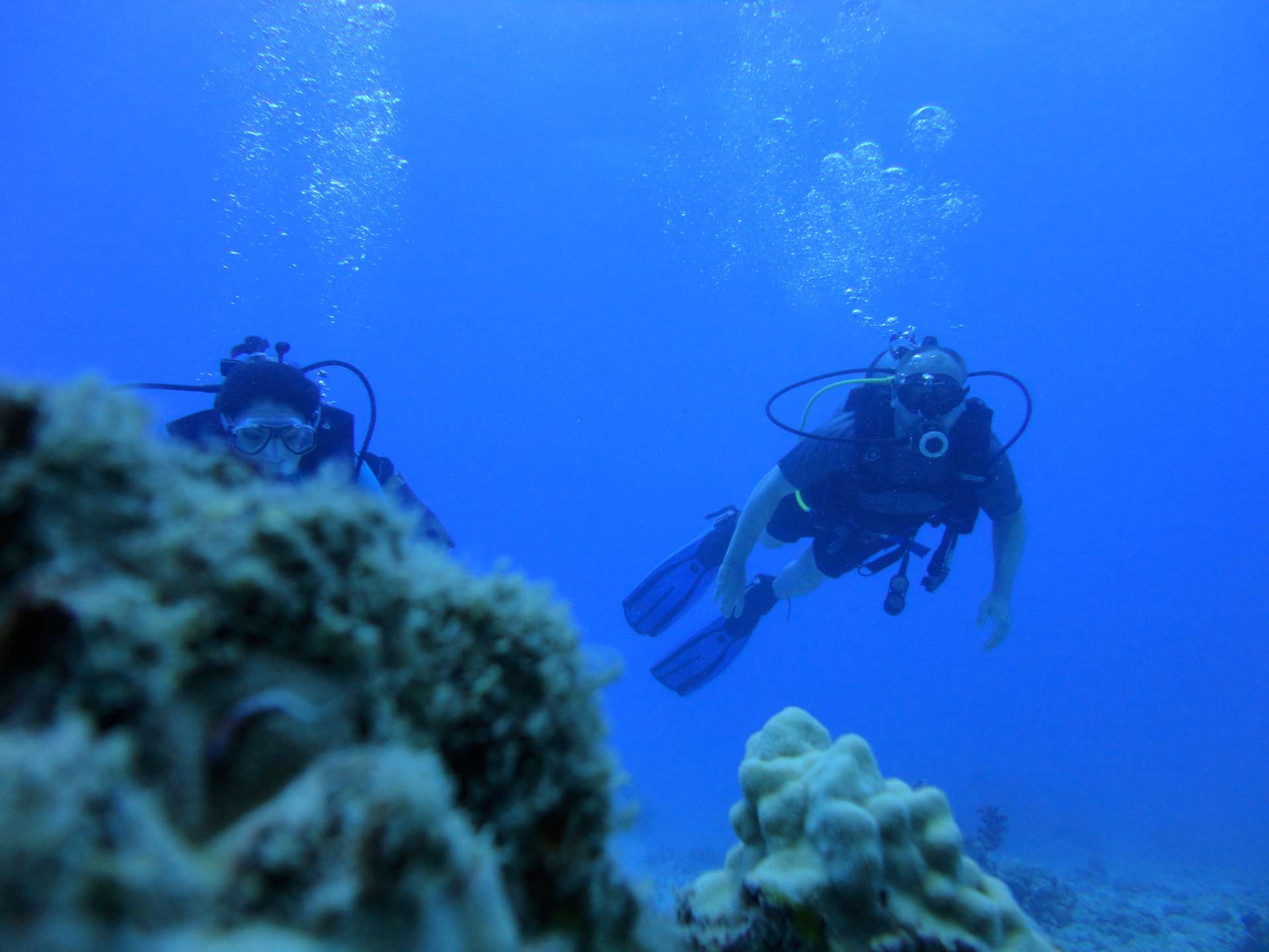 Hawaii scuba - 04-13-2019