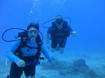 Hawaii scuba 31