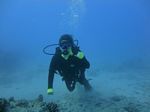 Hawaii Scuba divng 16