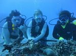 Hawaii Scuba divng 01