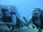 Hawaii Scuba divng 21