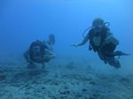 Hawaii Scuba divng 30