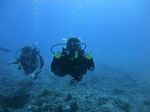 Hawaii Scuba divng 31