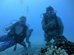 Hawaii Scuba divng 35