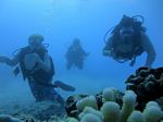 Hawaii Scuba divng 37