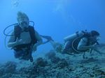 Hawaii Scuba divng 38