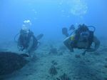 Hawaii Scuba divng 40