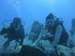 Hawaii Scuba divng 41