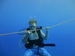 Hawaii Scuba divng 44