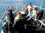 Hawaii Scuba divng 48