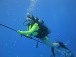 Hawaii Scuba divng 49