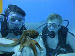 Hawaii Scuba divng 56