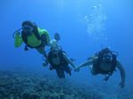 Hawaii Scuba divng 64