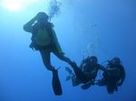 Hawaii Scuba divng 66