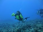 Hawaii Scuba divng 67