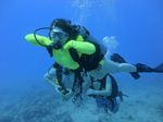 Hawaii Scuba divng 69