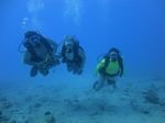 Hawaii Scuba divng 70