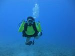 Hawaii Scuba divng 71