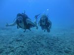 Hawaii Scuba divng 73