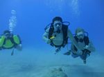 Hawaii Scuba divng 76