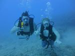 Hawaii Scuba divng 07