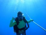 Hawaii Scuba divng 80