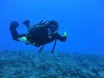 Hawaii Scuba divng 87