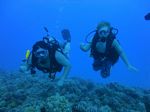 Hawaii Scuba divng 88