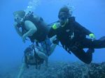 Hawaii Scuba divng 08