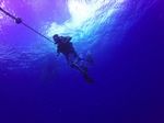 Hawaii Scuba divng 01