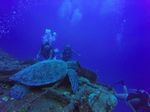 Hawaii Scuba divng 21