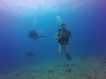 Hawaii Scuba divng 28