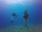 Hawaii Scuba divng 29