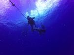 Hawaii Scuba divng 02