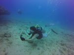 Hawaii Scuba divng 32