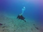 Hawaii Scuba divng 33